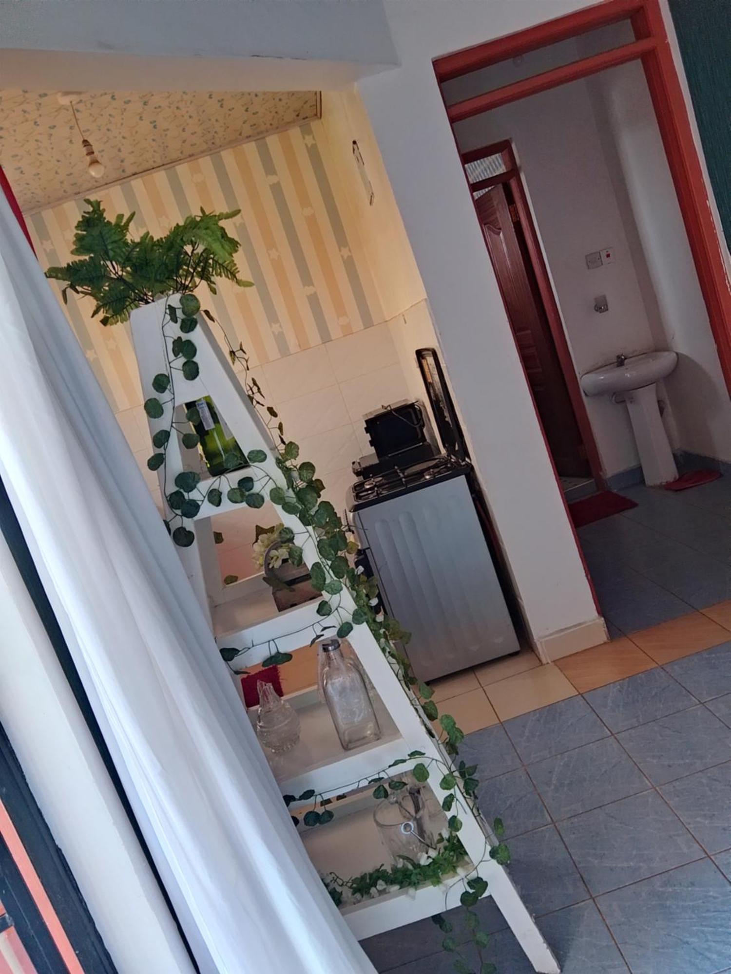 Apartment Lovely One Bedroom Airbb In With Wifi ,ample Parking-next To The Road