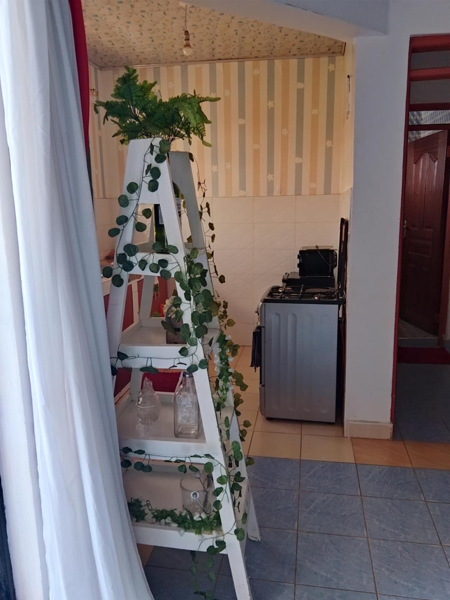 Apartment Lovely One Bedroom Airbb In With Wifi ,ample Parking-next To The Road *